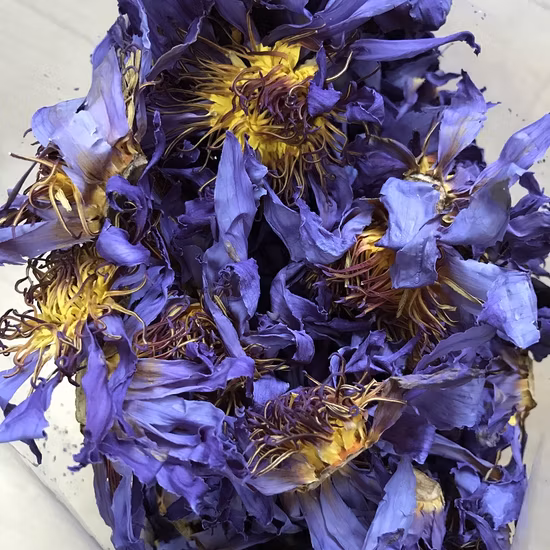 Lan Lian Hua Natural Nymphaea Caerulea flor seca flor de loto azul para té